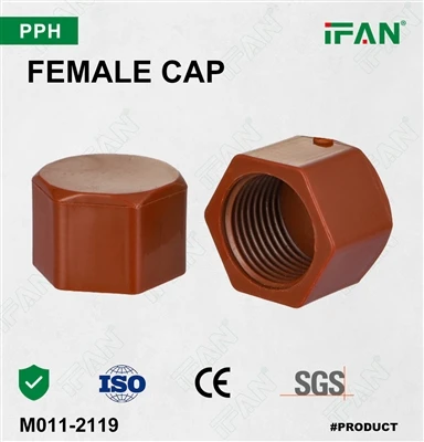 CZAPKA DAMSKA IFAN PPH